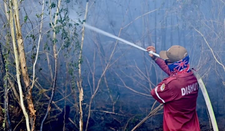 BMKG Mendeteksi 1.299 Titik Panas di Kalimantan Selatan, Risiko Karhutla Sangat Tinggi