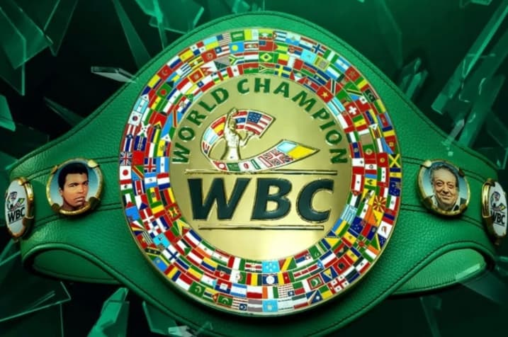 Jepang Mendominasi Tiga Divisi setelah WBC Merilis Peringkat Tinju Putra September 2026