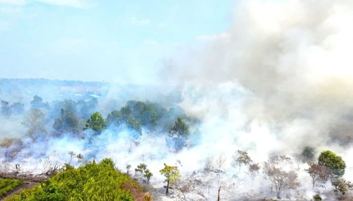 Kemlu Menangani Kabut Asap Lintas Batas untuk Menjaga Hubungan Negara ASEAN