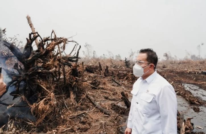 Wamen LH Dorong Perusahaan Bangun Sekat Kanal untuk Percepat Penanganan Karhutla Jambi
