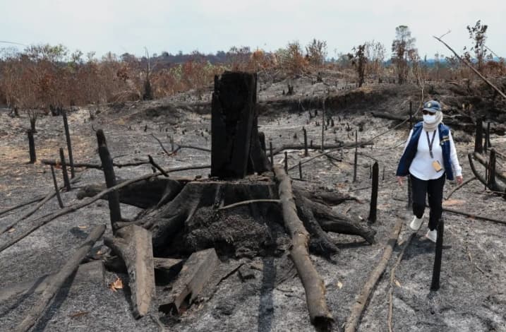 Kebakaran Mengancam Bukit Tengkorak, Otorita IKN Mengukur Kerusakan Kawasan Tahura Bukit Soeharto