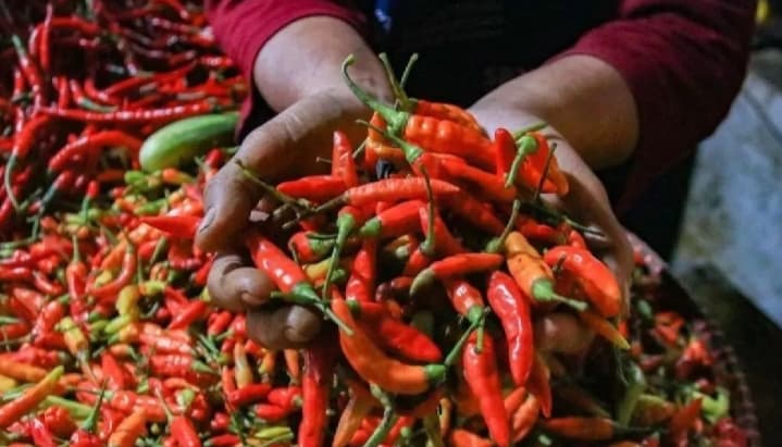 Harga Cabai Rawit Merah Tembus Rp94.900 per Kilogram, Telur Ayam Naik Jadi Rp31.000