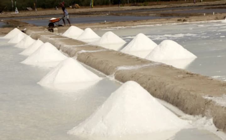 Indef Nilai NTT Prospektif Menjadi Basis Garam Industri untuk Mengejar Swasembada 2029
