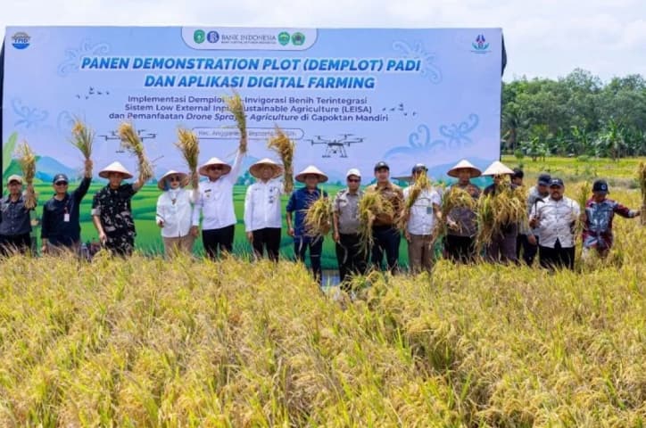 Teknologi LEISA Dongkrak Produktivitas Padi di Kutai Kartanegara hingga 44,8 Persen