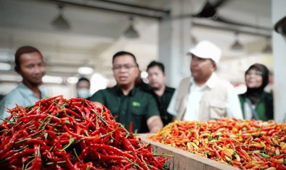 Bapanas dan Kementan Mobilisasi Cabai dari Daerah Surplus untuk Tekan Gejolak Harga
