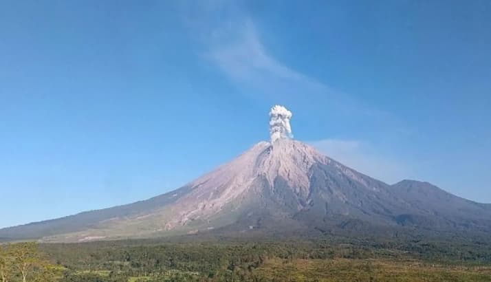 Gunung Semeru Erupsi Tiga Kali Senin Pagi, Letusan Tertinggi Capai 1.000 Meter