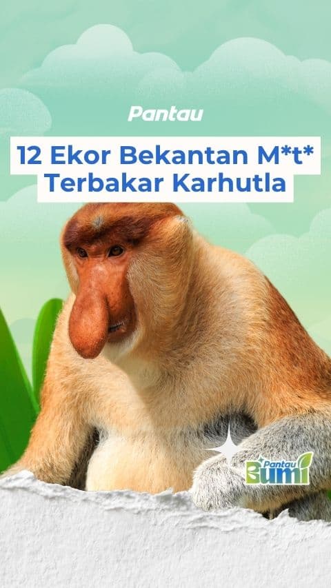 12 EKOR BEKANTAN MATI TERBAKAR KARHUTLA