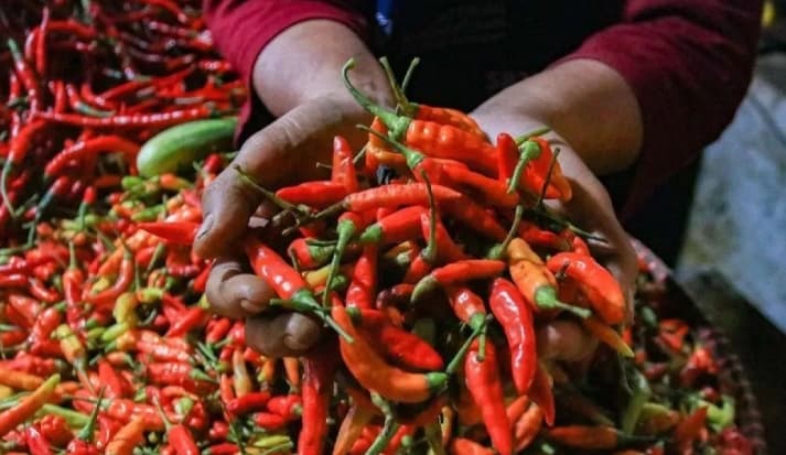PIHPS Catat Cabai Rawit Merah Tembus Rp95.500 per Kg, Telur Ayam Ras Rp29.400 per Kg