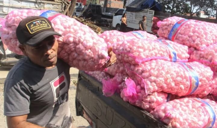 Pemerintah Bidik Swasembada Bawang Putih untuk Tekan Ketergantungan Impor