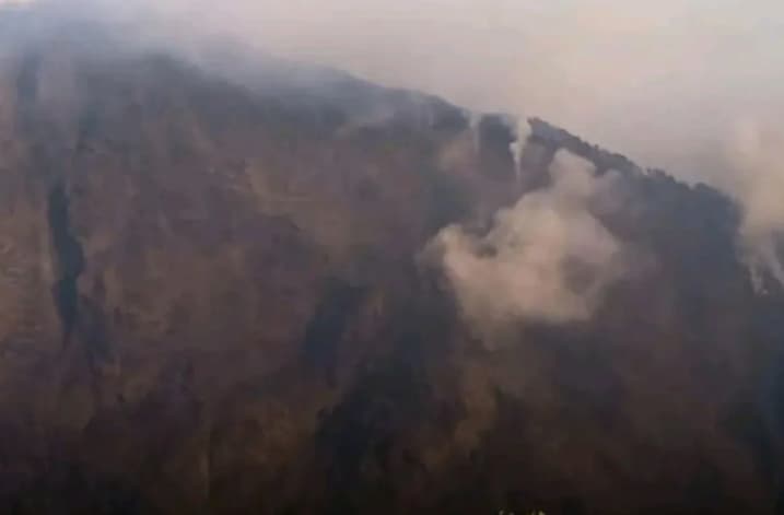 Tim Gabungan Bergerak Padamkan Kebakaran Lahan di Kawasan Gunung Rinjani