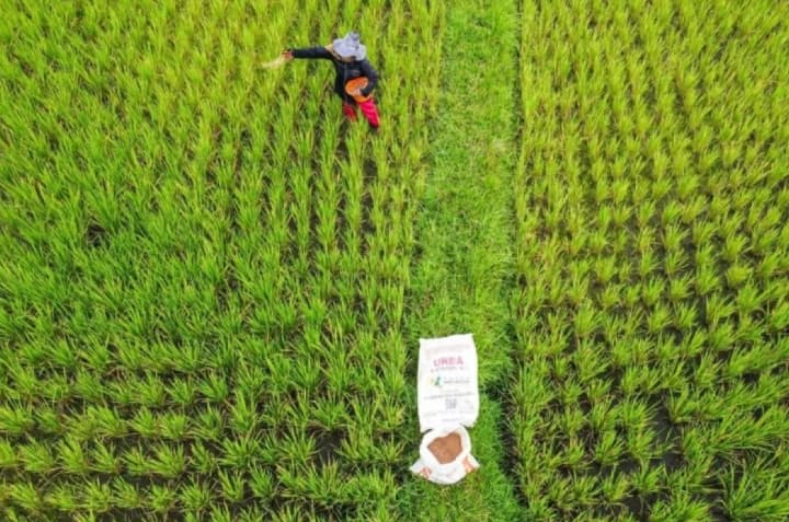 Pupuk Indonesia Prioritaskan Petani lewat Pupuk Subsidi yang Lebih Terjangkau dan Mudah Ditebus