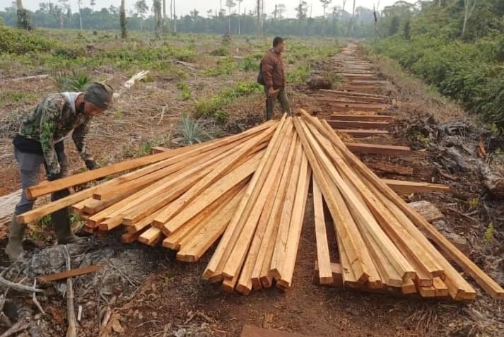 Kemenhut Menahan Dua Tersangka Pembalakan Liar di Habitat Harimau Sumatera di Jambi