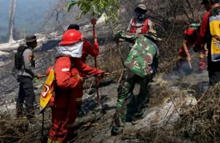 Jalur Pendakian Senaru Gunung Rinjani Kembali Dibuka Usai Kebakaran Hutan