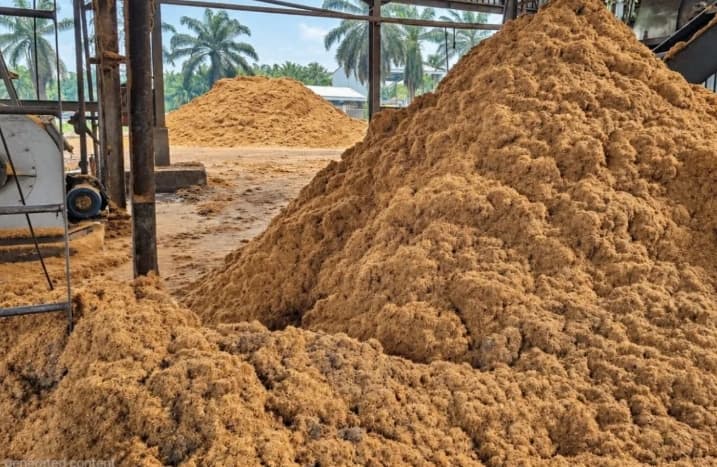 Produksi Biomassa Sawit Indonesia Terkendala Biaya Logistik, Teknologi, dan Jaminan Keberlanjutan