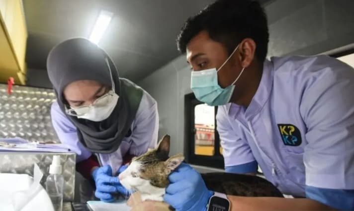 Mobil Klinik Hewan Keliling Jakarta Timur Layani 427 Kucing dan Anjing, Duren Sawit Jadi Wilayah Terbanyak