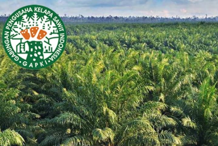 GAPKI Dukung Revisi UU Lingkungan Hidup, Pemerintah Usulkan Penghapusan Izin Bakar Lahan Dua Hektare untuk Cegah Karhutla