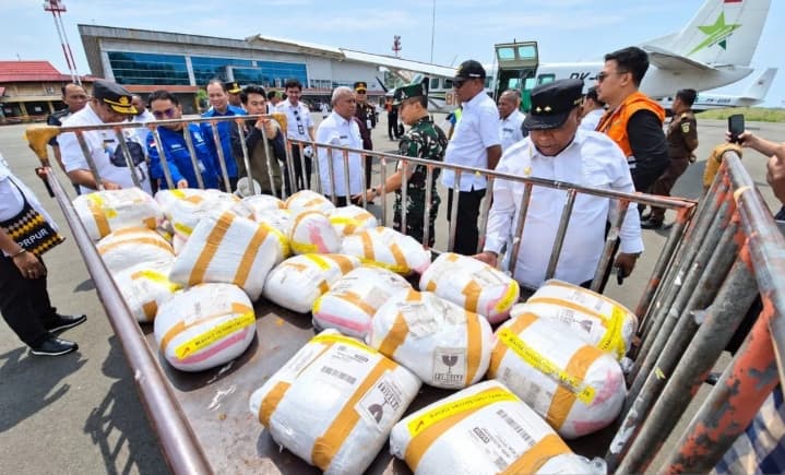 BNPB Mulai Operasi Modifikasi Cuaca di Papua Barat untuk Atasi Kabut Asap, 73 Titik Panas Terdeteksi
