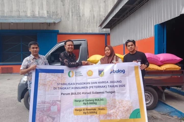 BULOG Salurkan Tambahan 150 Ribu Ton Jagung SPHP Tahap II, Peternak Mikro Bisa Beli Maksimal Rp5.500 per Kilogram