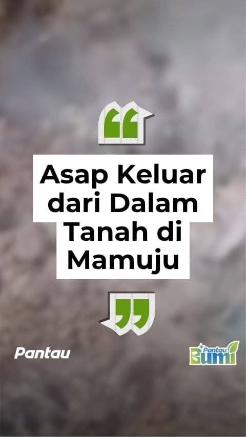 ASAP KELUAR DARI DALAM TANAH DI MAMUJU
