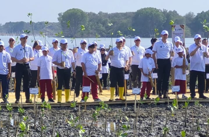 Pelindo Salurkan 2.500 Bibit Mangrove dan 900 HexBRIck untuk Lindungi Pesisir Pantura dari Abrasi dan Banjir Rob