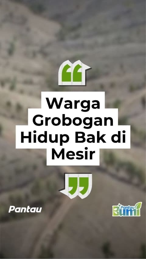WARGA GROBOGAN HIDUP BAK DI MESIR