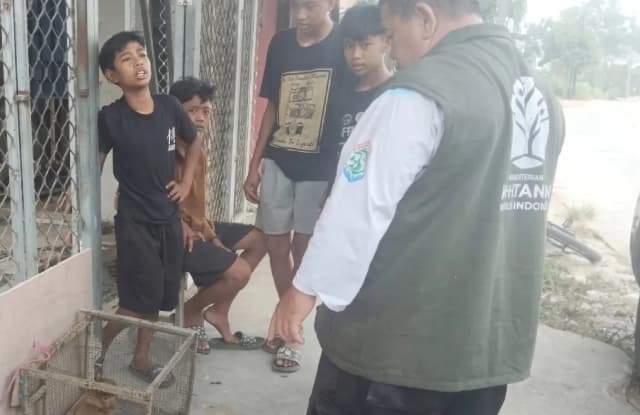 Empat Bocah Samarinda Berusia 10–13 Tahun Selamatkan Bekantan Langka, BKSDA Kaltim Apresiasi Kepedulian Mereka