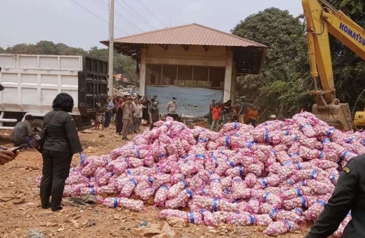 Karantina Kepri Musnahkan 29 Ton Bawang Putih Impor dari China di Batam akibat Kerusakan Mesin Pendingin