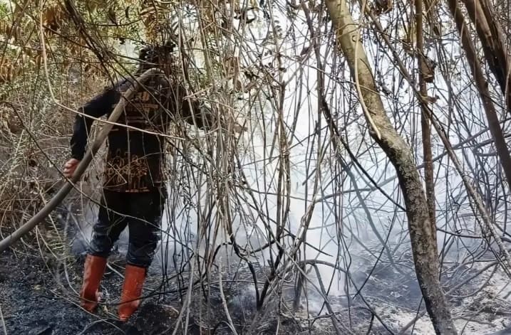Bupati Kotawaringin Timur Prioritaskan Pemadaman Karhutla Lewat Darat, Minta Bantuan Helikopter untuk Wilayah Sulit Dijangkau