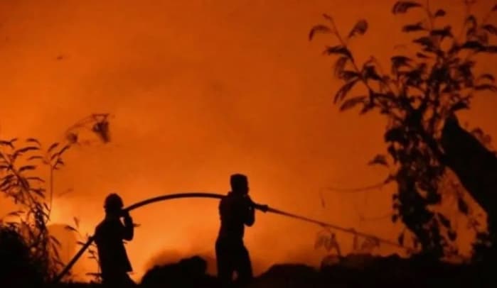 Pakar Hukum Soroti Karhutla yang Terus Berulang, Desak Pemerintah Perkuat Pencegahan dan Evaluasi Pertanggungjawaban Perusaha