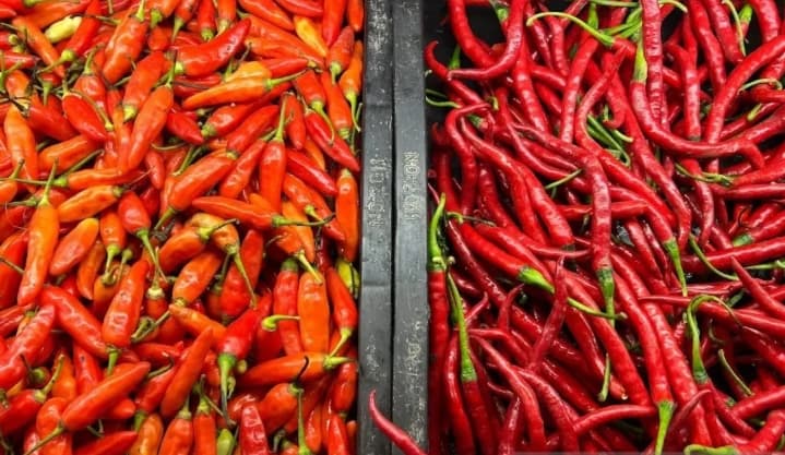BPS Catat Harga Cabai Merah Naik di 327 Daerah, Cabai Rawit Tembus Rp157.500 per Kilogram di Teluk Bintuni