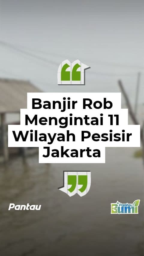 BANJIR ROB MENGINTAI 11 WILAYAH PESISIR JAKARTA