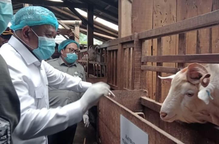 Wamentan Saleh Dorong Magelang Jadi Sentra Susu Kambing, Koperasi Diminta Perkuat Pengolahan dan Akses Pasar