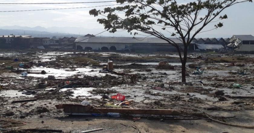Gempa Palu, Kapal-kapal PT Pelni Aman