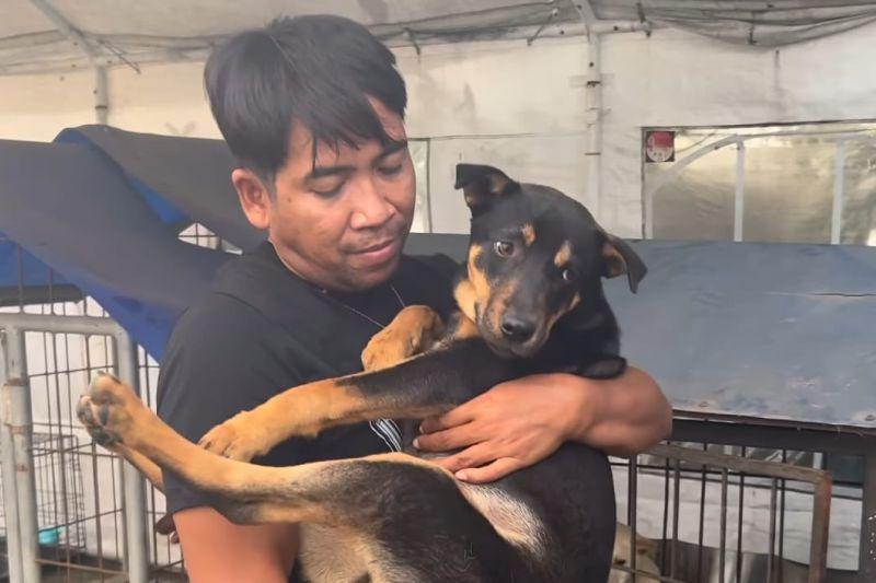 Rumah Jagal Anjing di Surabaya Digerebek, Pemilik: Saya Beli dari Warga Rp100-Rp300 Ribu per Ekor dan Dimasak Rica-rica