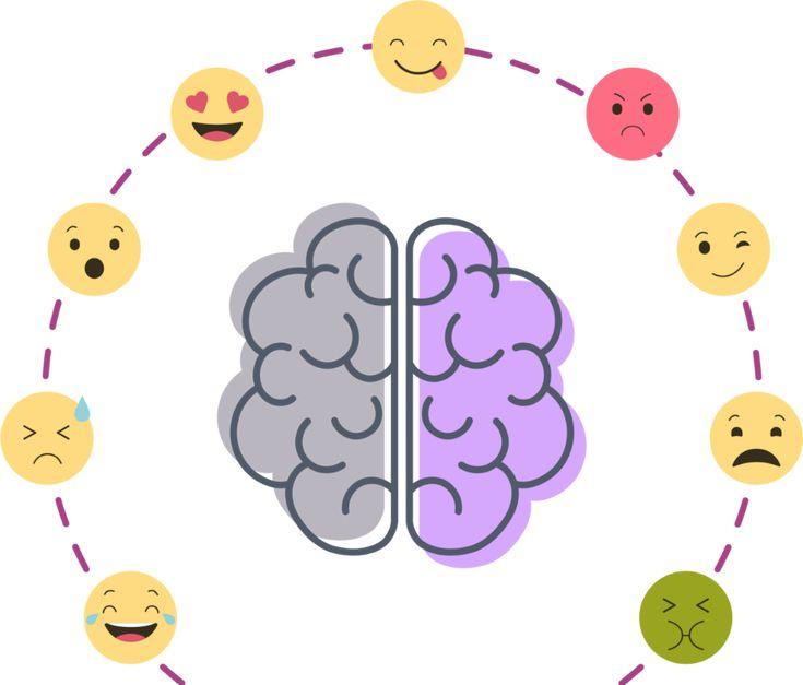 Cara Mendidik Anak agar Cerdas secara Intelektual dan Emosional