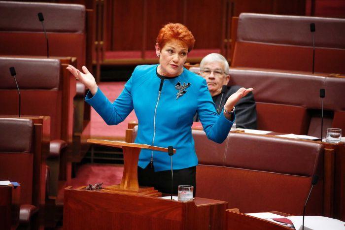 Ramai-ramai Publik +62 Kritik Senator Australia usai Hina Bali Banyak Kotoran Sapi