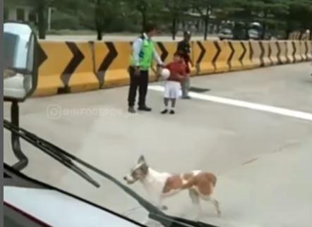Viral Bocah Kejar Anjing Kabur hingga Masuk ke Jalan Tol Cilandak