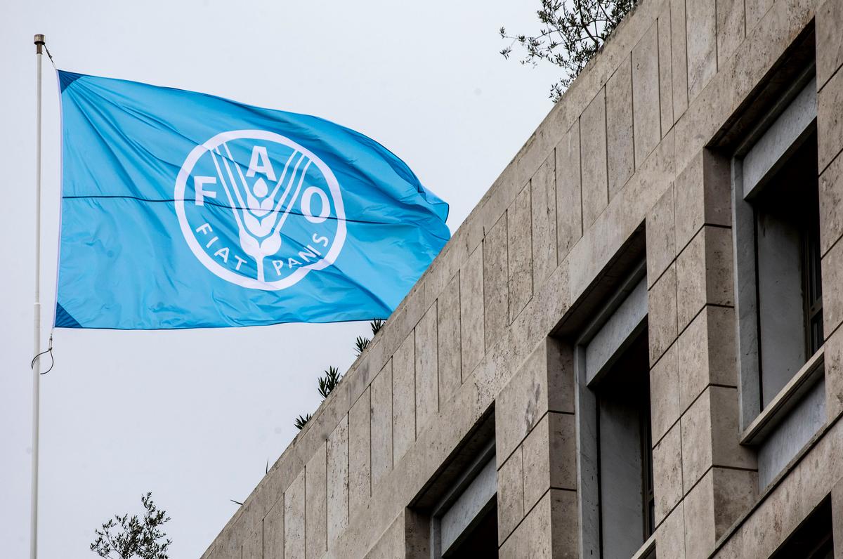 Selamat, Indonesia Kembali jadi Anggota FAO