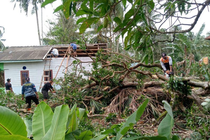 Angin Kencang di Natuna Sebabkan Satu Rumah Warga Tertimpa Pohon Tumbang