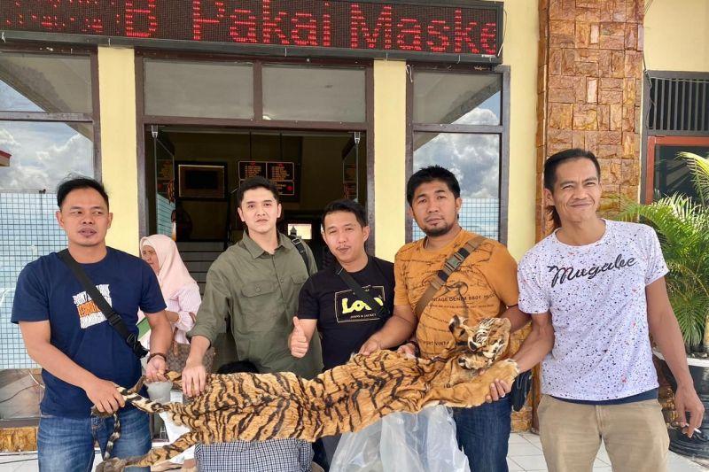 Pelaku Tindak Pidana Penjualan Kulit Harimau di Jambi Ditangkap Polisi