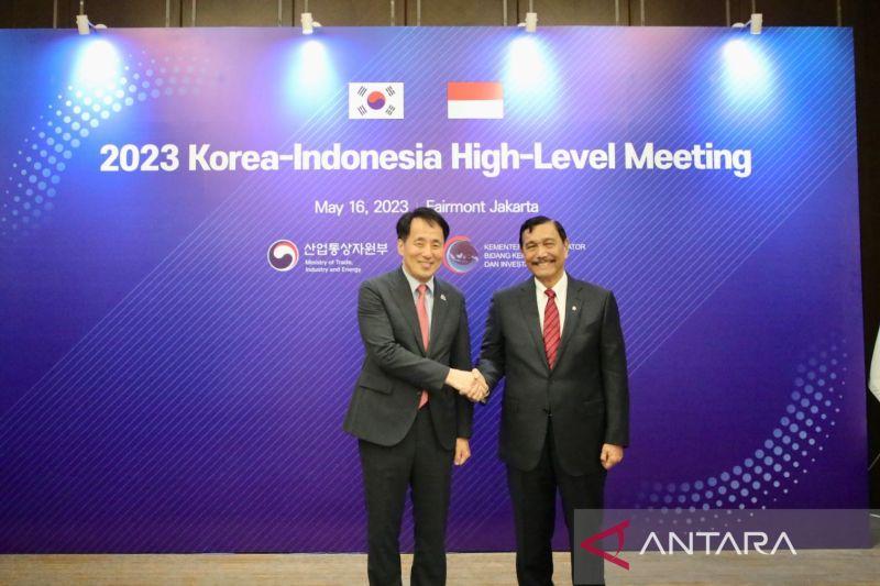 Ada 800 Pulau, Luhut Tawarkan Korea Selatan Proyek Rumput Laut dan Pembangunan Resort di Natuna