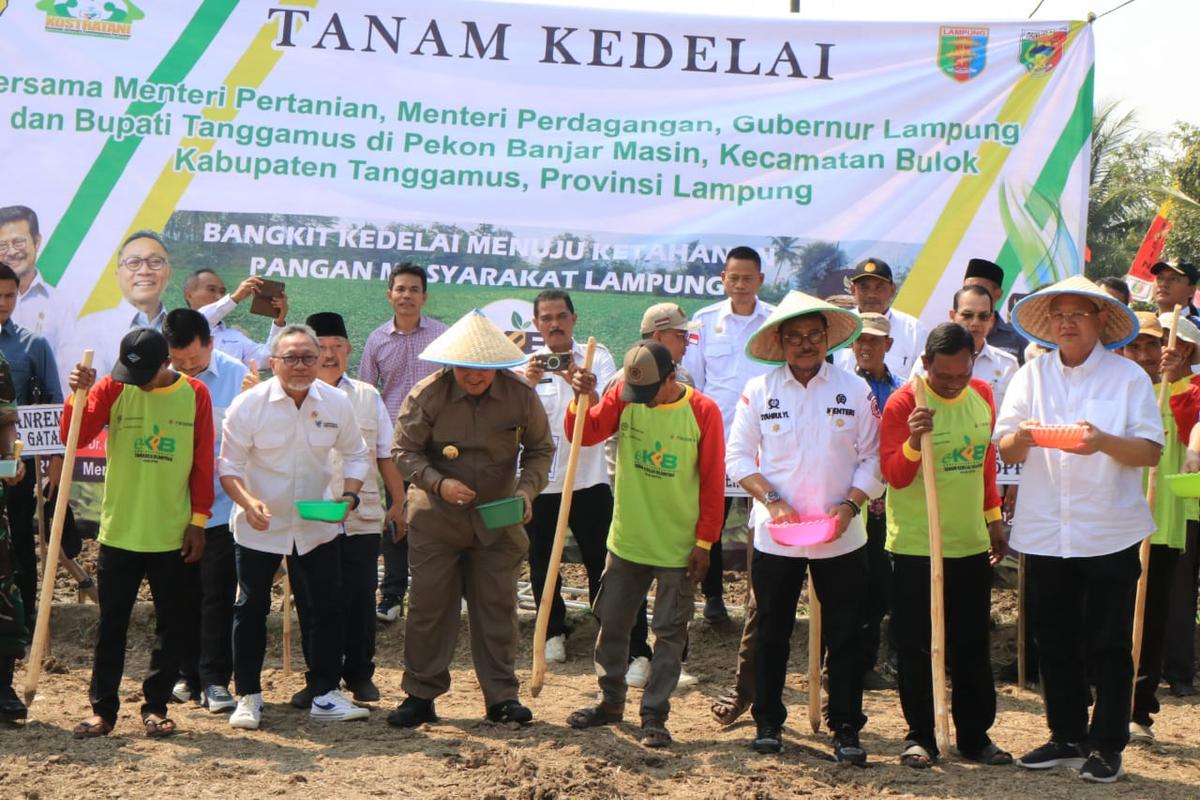 Kompak, Mentan SYL Tanam Kedelai di Tanggamus Bersama Gubernur dan Mendag