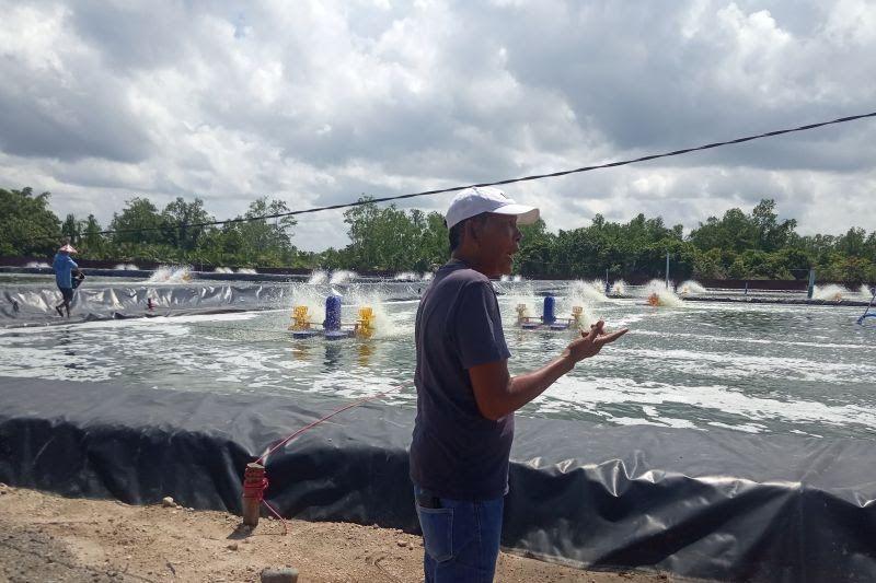 Kabupaten Agam Produksi Udang Vaname 374,4 Ton di Kuartal I-2023