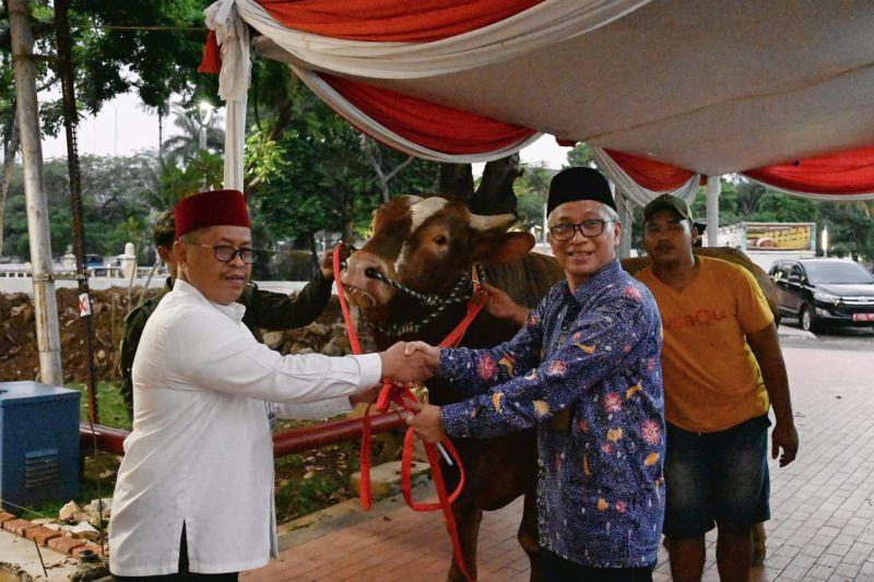 Usai Salat Iduladha, Ma’ruf Amin Serahkan Sapi Kurban ke Masjid Istiqlal