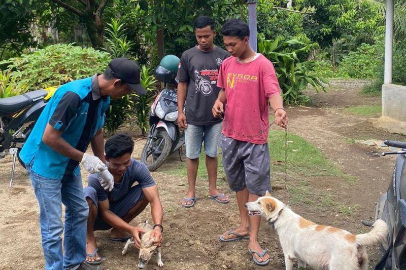 Balita 3,5 Tahun di Pasaman Barat Meninggal Digigit Anjing Rabies
