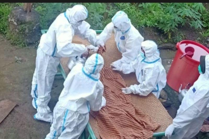 Bocah 9 Tahun di Lampung Barat Meninggal Didiuga karena Difteri