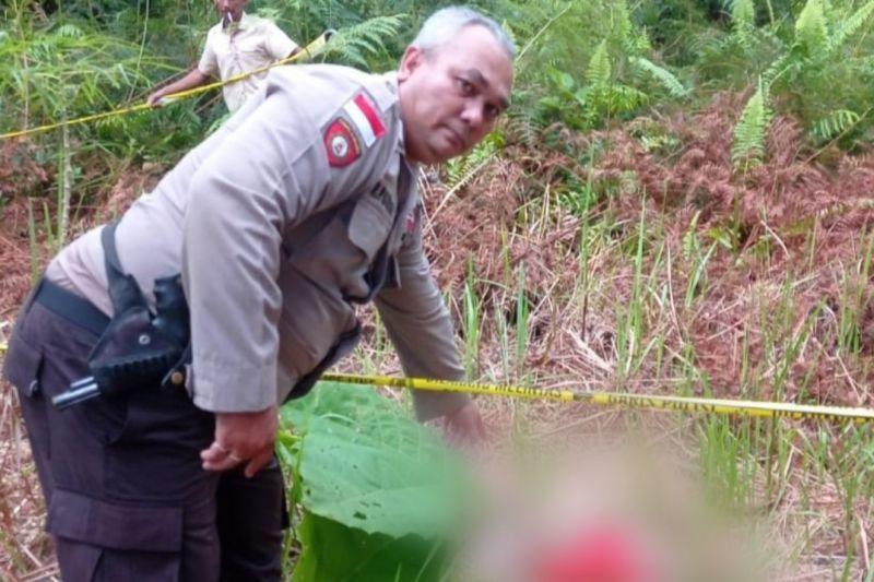 Geger Temuan Potongan Mayat Bayi di Kapuas Hulu, Polisi Lakukan Penyelidikan