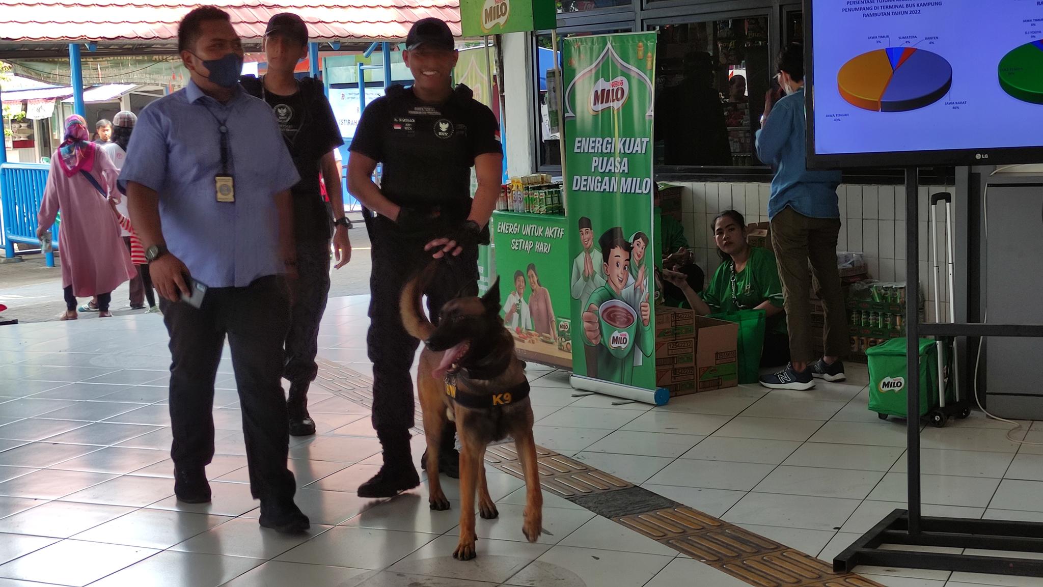 Kenalin nih! Jorse dan Lola Siap Ringkus Bandar Narkoba di Terminal Kampung Rambutan