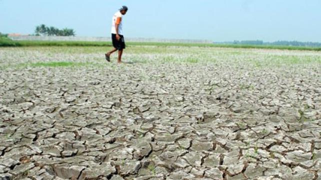 DPR Minta Pemerintah Ansitipasi Bencana Kekeringan El Nino