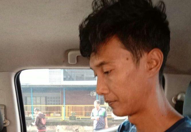 Polisi Tetapkan Seorang TKBM Jayapura Jadi Tersangka Penyelundup Kanguru Pohon